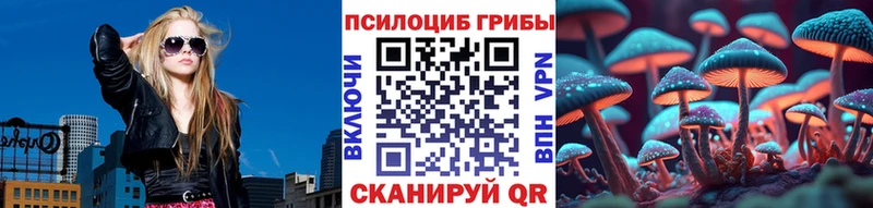 Купить где  Очёр  Галлюциногенные грибы GOLDEN TEACHER 