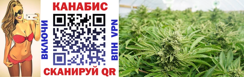 Каннабис сатива  Купить  Очёр 